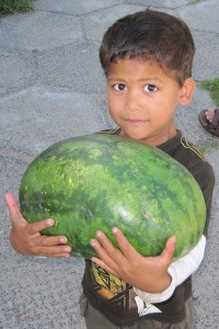 m_IMG_9892